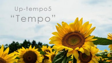 Up-Tempo5 Tempo テンポを再設定する