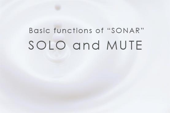 Basic functions of Sonar SOLO and MUTE　SONARの基本機能　ソロとミュート