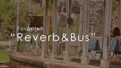 favorite9 Reverb&Bus