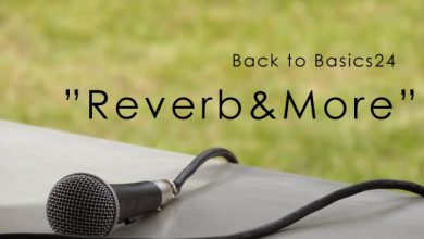 Back to Basic Reverb&More