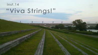 instrumental14 Viva Strings!