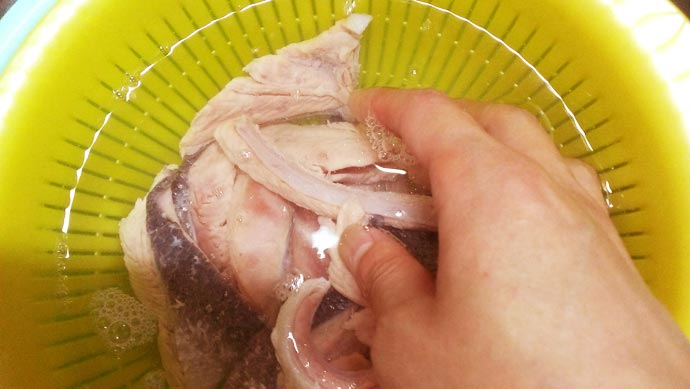 秋鮭のアラに霜降りをして冷水で洗う